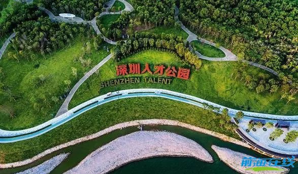 11月1日“深圳人才日”細數(shù)前海人才政策!(圖6) 注冊前海公司